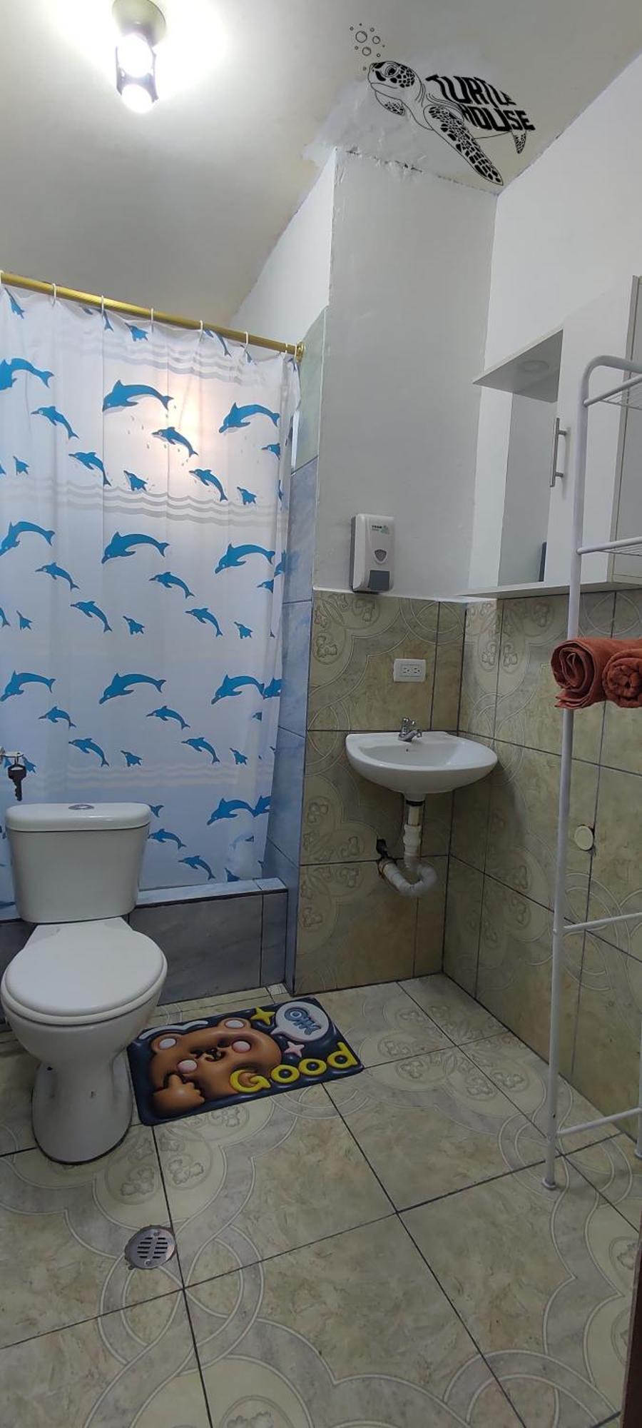 Appartamento Tortuga House Puerto Baquerizo Moreno Esterno foto